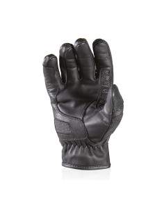 GANTS HARISSON SUNSET EVO 2