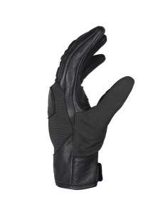 GANTS MARSHALL HARISSON 2