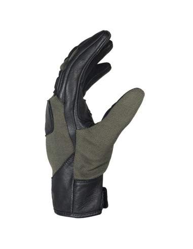 GANTS MARSHALL HARISSON