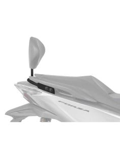 Kit de Fixation Dosseret SHAD H0FR17RV| Honda Forza 125/300 2015 à 2020