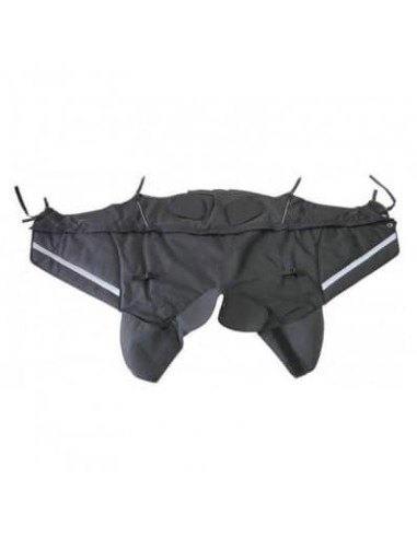 Tablier Bagster Winzip | Honda Forza 750| A partir 2021