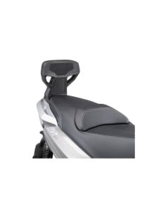 Dosseret Piaggio MP3 | de 2011 à 2022