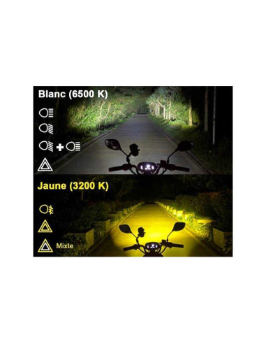 Paire Projecteurs LED Moto RBMAX Ecobene 12v 50w