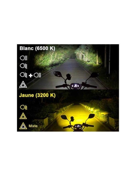 Paire Projecteurs LED Moto RBMAX Ecobene 12v 50w