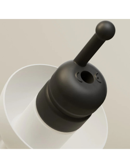 Bouchon d'Oreille avec filtre Alpine pour Motard Bouchon d'Oreille avec filtre Alpine pour Motard