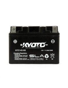 Batterie Gtz14s-bs SLA-AGM - Sans Entretien - Prête à  l'Emploi - Equivalente YTZ14S-BS