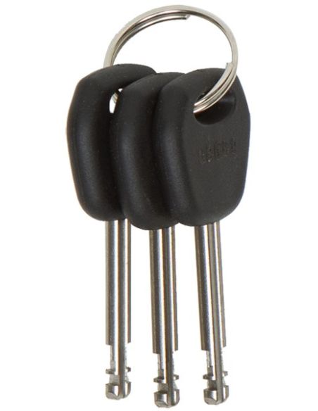 Antivol-U Auvray XTREM Maxi - Classe SRA